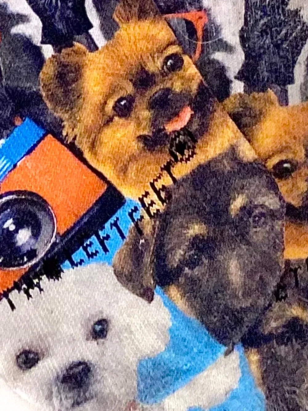 Two Left Feet Novelty Dog Socks Graphic Funny Puppy Accessories Unisex Men/Women